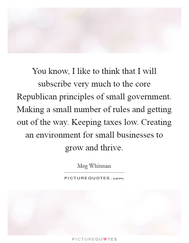 You know, I like to think that I will subscribe very much to the core Republican principles of small government. Making a small number of rules and getting out of the way. Keeping taxes low. Creating an environment for small businesses to grow and thrive Picture Quote #1