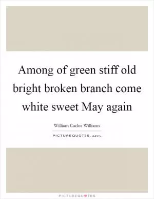 Among of green stiff old bright broken branch come white sweet May again Picture Quote #1