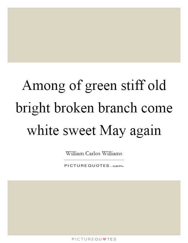 Among of green stiff old bright broken branch come white sweet May again Picture Quote #1