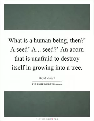 What is a human being, then?’ A seed’ A... seed?’ An acorn that is unafraid to destroy itself in growing into a tree Picture Quote #1