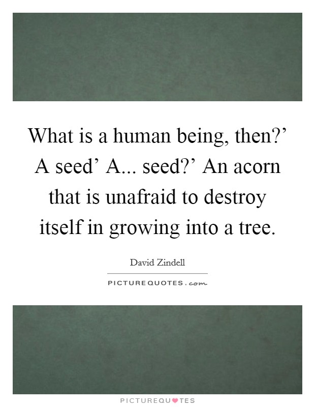 What is a human being, then?' A seed' A... seed?' An acorn that is unafraid to destroy itself in growing into a tree Picture Quote #1