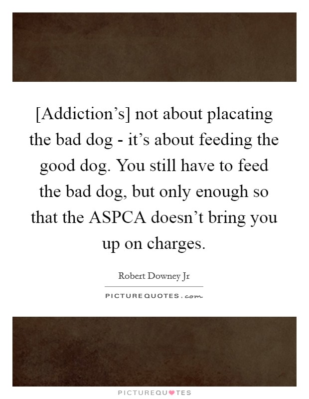 [Addiction's] not about placating the bad dog - it's about feeding the good dog. You still have to feed the bad dog, but only enough so that the ASPCA doesn't bring you up on charges Picture Quote #1