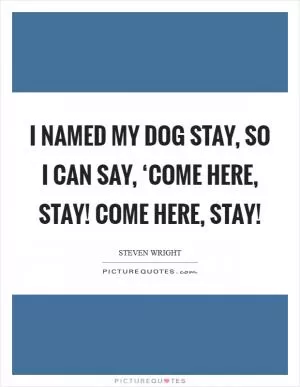 I named my dog Stay, so I can say, ‘Come here, Stay! Come here, Stay! Picture Quote #1