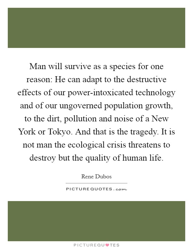 Man will survive as a species for one reason: He can adapt to the destructive effects of our power-intoxicated technology and of our ungoverned population growth, to the dirt, pollution and noise of a New York or Tokyo. And that is the tragedy. It is not man the ecological crisis threatens to destroy but the quality of human life Picture Quote #1