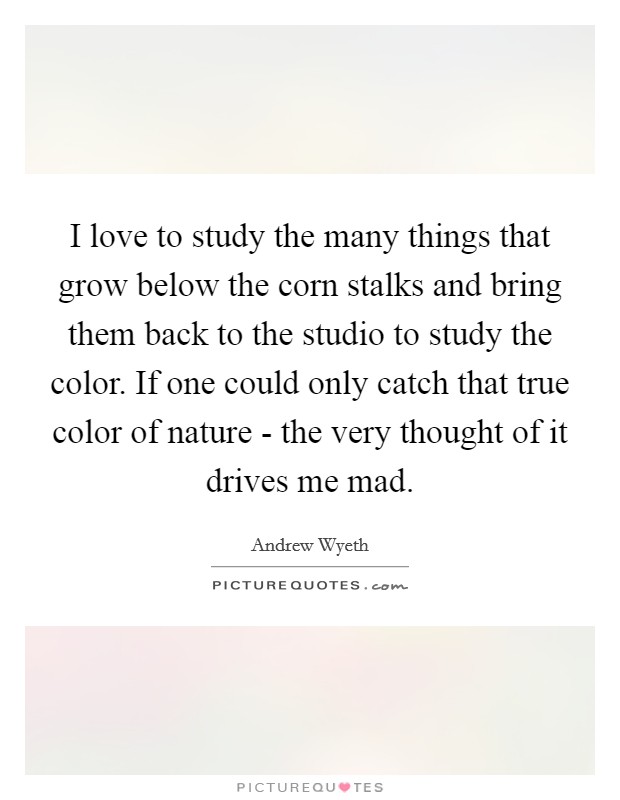 I love to study the many things that grow below the corn stalks and bring them back to the studio to study the color. If one could only catch that true color of nature - the very thought of it drives me mad Picture Quote #1