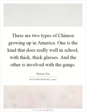 There are two types of Chinese growing up in America. One is the kind that does really well in school, with thick, thick glasses. And the other is involved with the gangs Picture Quote #1