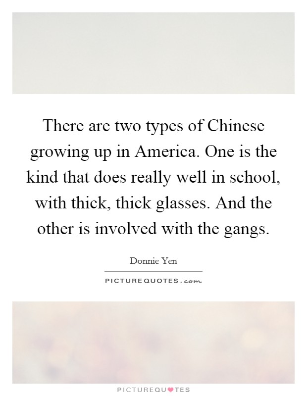 There are two types of Chinese growing up in America. One is the kind that does really well in school, with thick, thick glasses. And the other is involved with the gangs Picture Quote #1