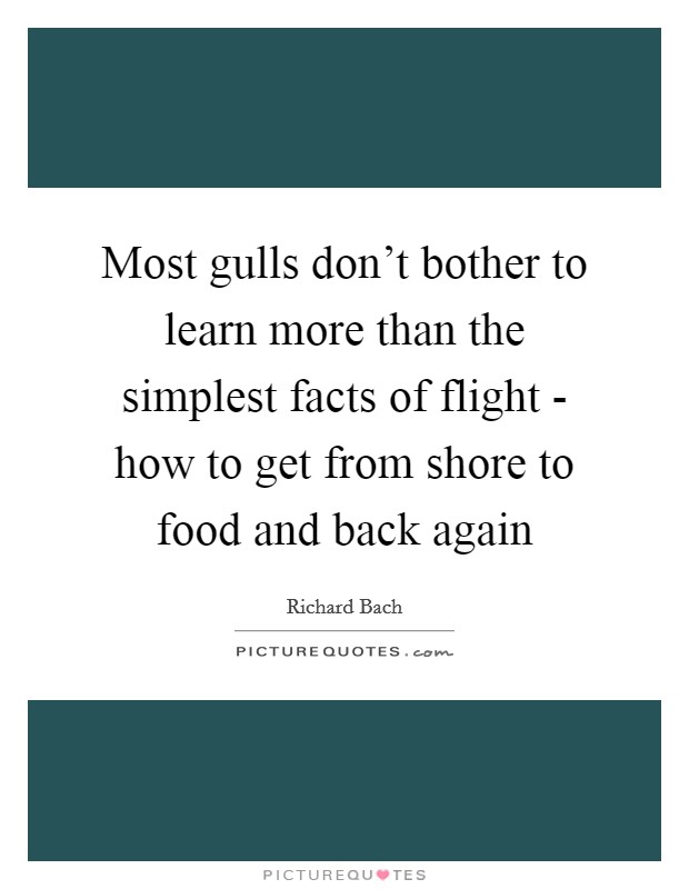 Most gulls don't bother to learn more than the simplest facts of flight - how to get from shore to food and back again Picture Quote #1