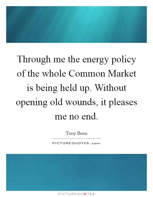 Through me the energy policy of the whole Common Market is being held up. Without opening old wounds, it pleases me no end Picture Quote #1