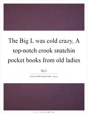 The Big L was cold crazy, A top-notch crook snatchin pocket books from old ladies Picture Quote #1