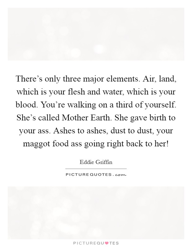 There's only three major elements. Air, land, which is your flesh and water, which is your blood. You're walking on a third of yourself. She's called Mother Earth. She gave birth to your ass. Ashes to ashes, dust to dust, your maggot food ass going right back to her! Picture Quote #1