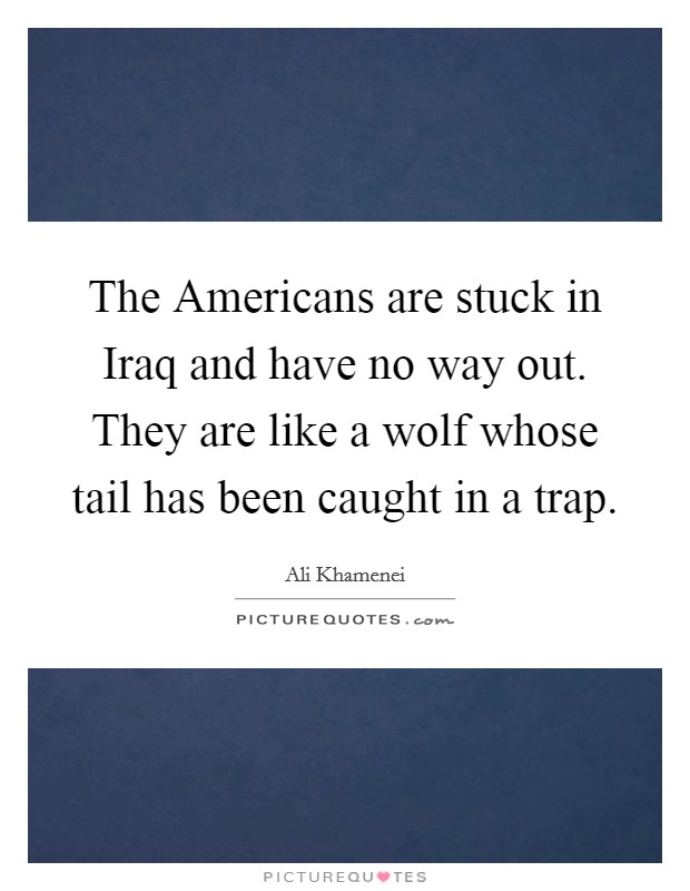 The Americans are stuck in Iraq and have no way out. They are like a wolf whose tail has been caught in a trap Picture Quote #1
