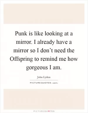 Punk is like looking at a mirror. I already have a mirror so I don’t need the Offspring to remind me how gorgeous I am Picture Quote #1