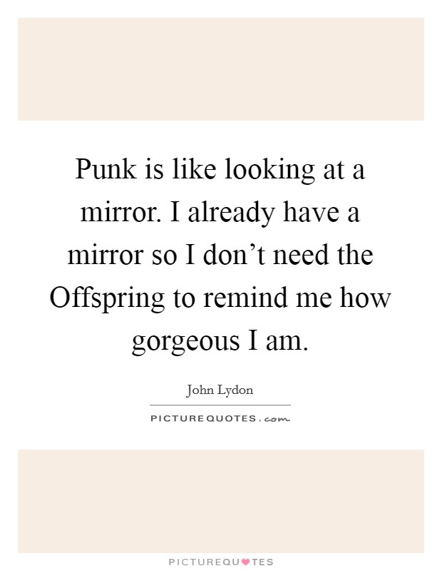 Punk is like looking at a mirror. I already have a mirror so I don't need the Offspring to remind me how gorgeous I am Picture Quote #1