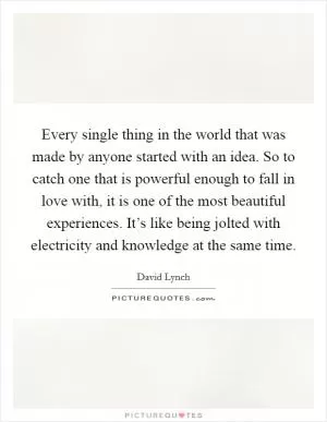 Every single thing in the world that was made by anyone started with an idea. So to catch one that is powerful enough to fall in love with, it is one of the most beautiful experiences. It’s like being jolted with electricity and knowledge at the same time Picture Quote #1