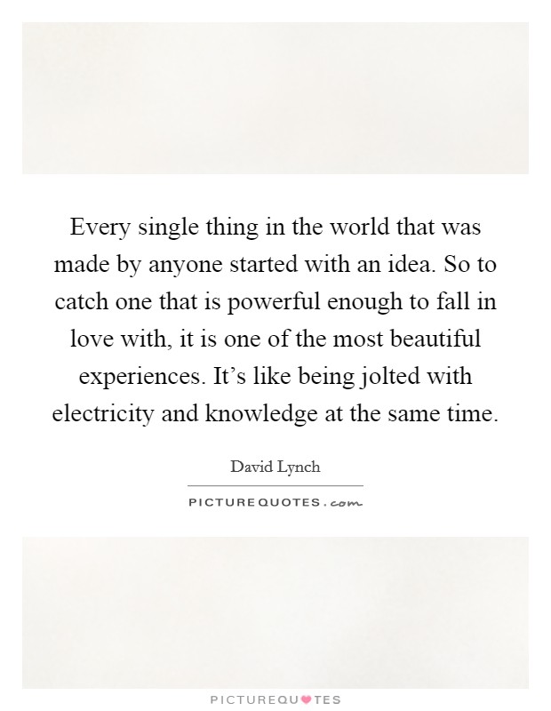 Every single thing in the world that was made by anyone started with an idea. So to catch one that is powerful enough to fall in love with, it is one of the most beautiful experiences. It's like being jolted with electricity and knowledge at the same time Picture Quote #1