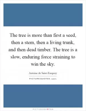 The tree is more than first a seed, then a stem, then a living trunk, and then dead timber. The tree is a slow, enduring force straining to win the sky Picture Quote #1