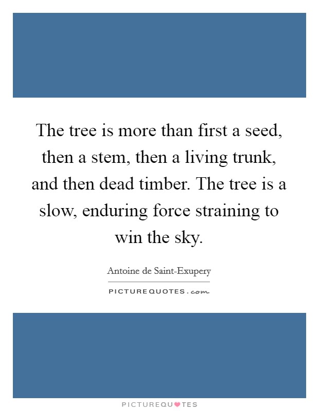 The tree is more than first a seed, then a stem, then a living trunk, and then dead timber. The tree is a slow, enduring force straining to win the sky Picture Quote #1