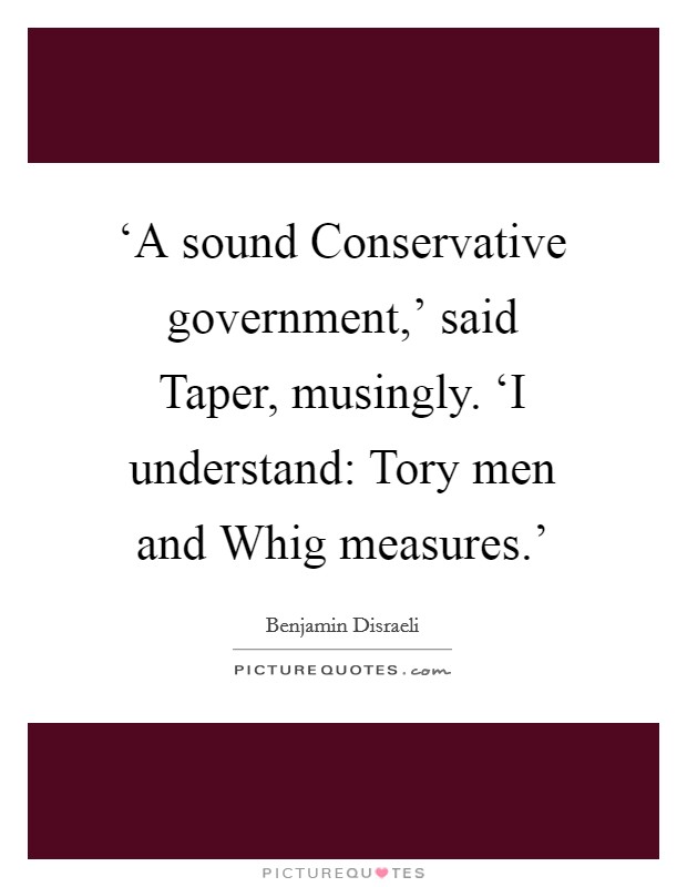 ‘A sound Conservative government,' said Taper, musingly. ‘I understand: Tory men and Whig measures.' Picture Quote #1
