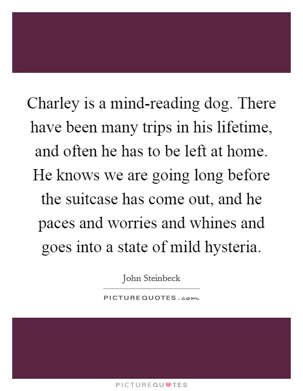 Charley is a mind-reading dog. There have been many trips in his lifetime, and often he has to be left at home. He knows we are going long before the suitcase has come out, and he paces and worries and whines and goes into a state of mild hysteria Picture Quote #1