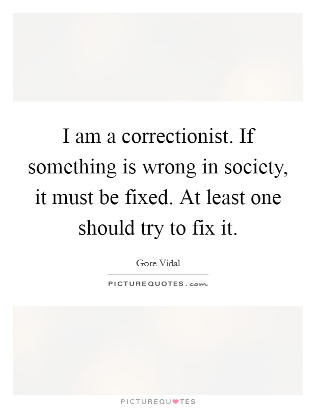 I am a correctionist. If something is wrong in society, it must be fixed. At least one should try to fix it Picture Quote #1