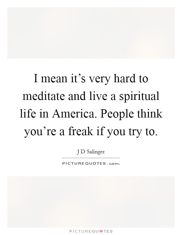 I mean it's very hard to meditate and live a spiritual life in America. People think you're a freak if you try to Picture Quote #1