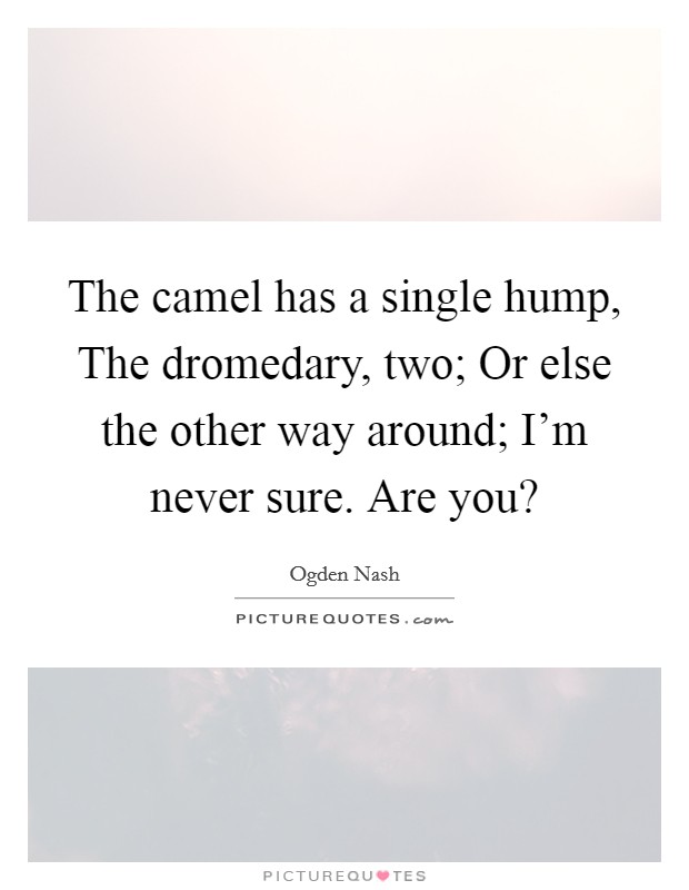The camel has a single hump, The dromedary, two; Or else the other way around; I'm never sure. Are you? Picture Quote #1