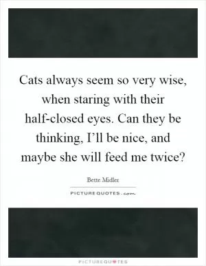 Cats always seem so very wise, when staring with their half-closed eyes. Can they be thinking, I’ll be nice, and maybe she will feed me twice? Picture Quote #1