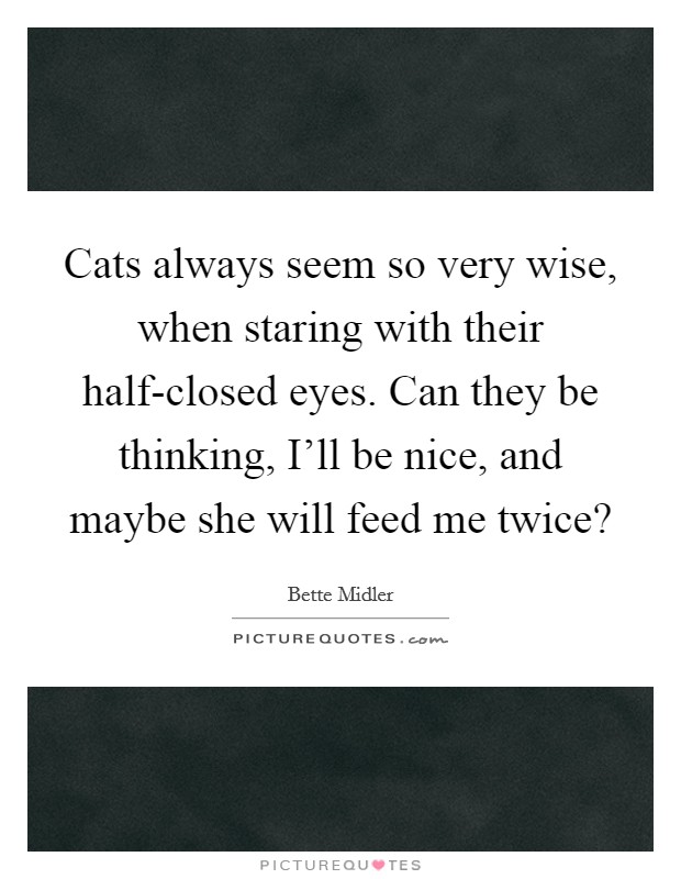 Cats always seem so very wise, when staring with their half-closed eyes. Can they be thinking, I'll be nice, and maybe she will feed me twice? Picture Quote #1