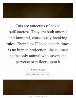 Cats are autocrats of naked self-interest. They are both amoral and immoral, consciously breaking rules. Their ‘’evil’’ look at such times is no human projection: the cat may be the only animal who savors the perverse or reflects upon it Picture Quote #1