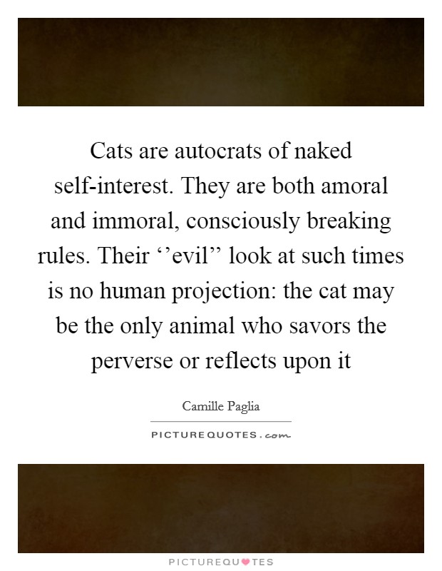 Cats are autocrats of naked self-interest. They are both amoral and immoral, consciously breaking rules. Their ‘'evil'' look at such times is no human projection: the cat may be the only animal who savors the perverse or reflects upon it Picture Quote #1