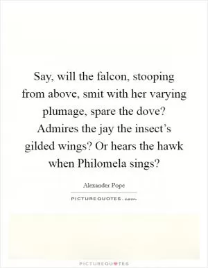Say, will the falcon, stooping from above, smit with her varying plumage, spare the dove? Admires the jay the insect’s gilded wings? Or hears the hawk when Philomela sings? Picture Quote #1