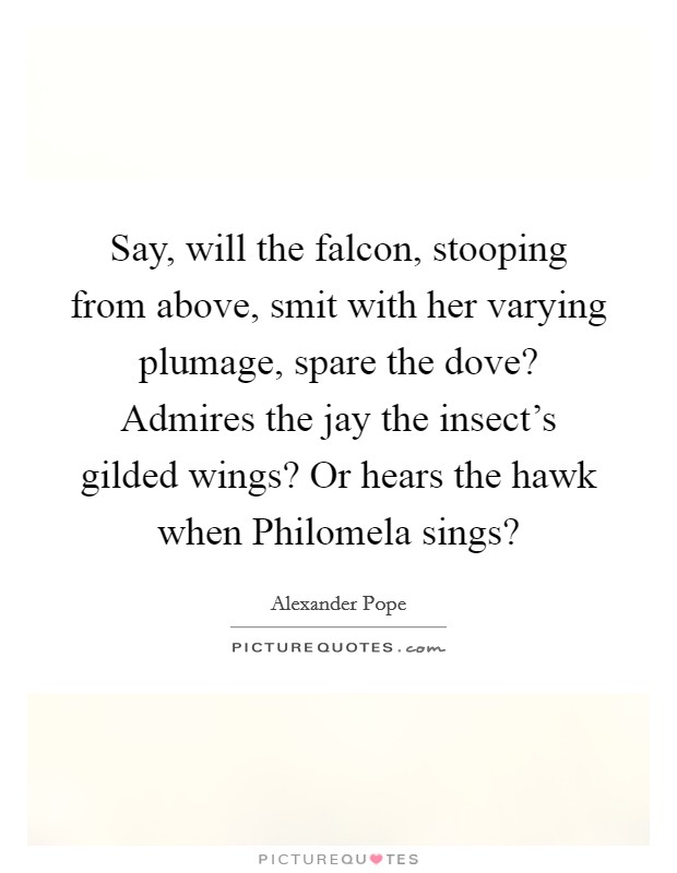 Say, will the falcon, stooping from above, smit with her varying plumage, spare the dove? Admires the jay the insect's gilded wings? Or hears the hawk when Philomela sings? Picture Quote #1