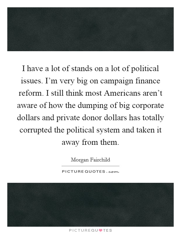 I have a lot of stands on a lot of political issues. I'm very big on campaign finance reform. I still think most Americans aren't aware of how the dumping of big corporate dollars and private donor dollars has totally corrupted the political system and taken it away from them Picture Quote #1