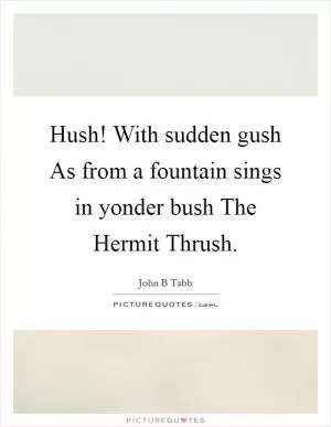 Hush! With sudden gush As from a fountain sings in yonder bush The Hermit Thrush Picture Quote #1