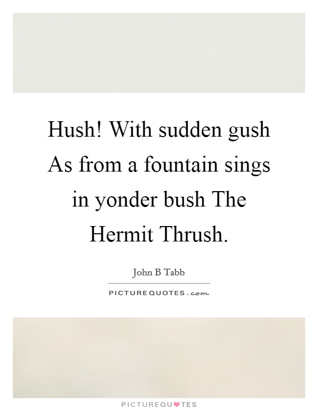 Hush! With sudden gush As from a fountain sings in yonder bush The Hermit Thrush Picture Quote #1
