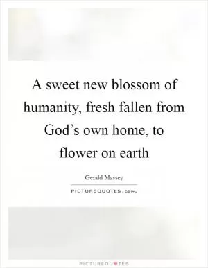 A sweet new blossom of humanity, fresh fallen from God’s own home, to flower on earth Picture Quote #1