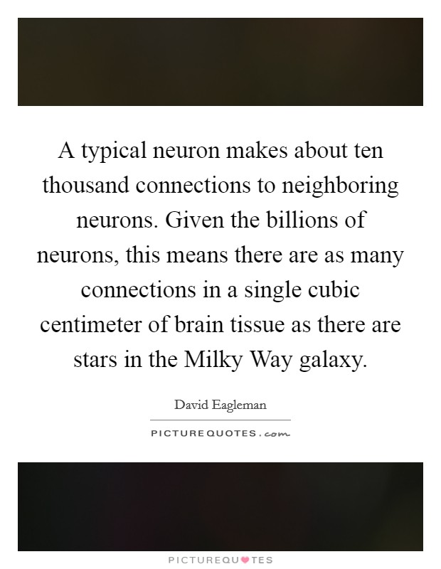 A typical neuron makes about ten thousand connections to neighboring neurons. Given the billions of neurons, this means there are as many connections in a single cubic centimeter of brain tissue as there are stars in the Milky Way galaxy Picture Quote #1