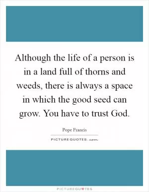 Although the life of a person is in a land full of thorns and weeds, there is always a space in which the good seed can grow. You have to trust God Picture Quote #1