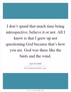 I don’t spend that much time being introspective, believe it or not. All I know is that I grew up not questioning God because that’s how you are. God was there like the birds and the wind Picture Quote #1