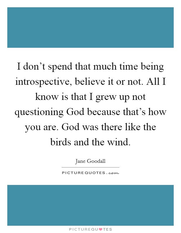 I don't spend that much time being introspective, believe it or not. All I know is that I grew up not questioning God because that's how you are. God was there like the birds and the wind Picture Quote #1