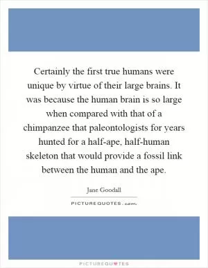Certainly the first true humans were unique by virtue of their large brains. It was because the human brain is so large when compared with that of a chimpanzee that paleontologists for years hunted for a half-ape, half-human skeleton that would provide a fossil link between the human and the ape Picture Quote #1