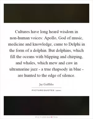 Cultures have long heard wisdom in non-human voices: Apollo, God of music, medicine and knowledge, came to Delphi in the form of a dolphin. But dolphins, which fill the oceans with blipping and chirping, and whales, which mew and caw in ultramarine jazz - a true rhapsody in blue - are hunted to the edge of silence Picture Quote #1
