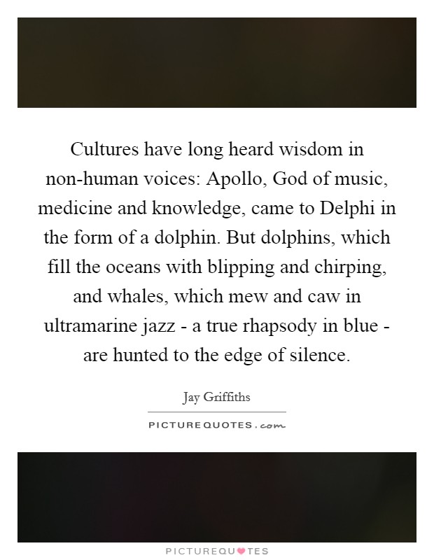 Cultures have long heard wisdom in non-human voices: Apollo, God of music, medicine and knowledge, came to Delphi in the form of a dolphin. But dolphins, which fill the oceans with blipping and chirping, and whales, which mew and caw in ultramarine jazz - a true rhapsody in blue - are hunted to the edge of silence Picture Quote #1