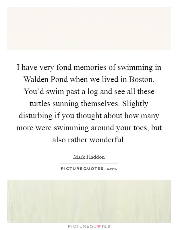 I have very fond memories of swimming in Walden Pond when we lived in Boston. You'd swim past a log and see all these turtles sunning themselves. Slightly disturbing if you thought about how many more were swimming around your toes, but also rather wonderful Picture Quote #1