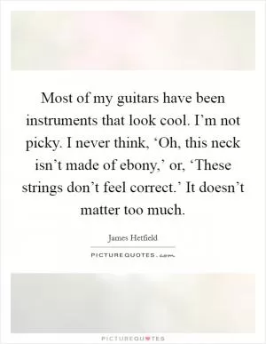 Most of my guitars have been instruments that look cool. I’m not picky. I never think, ‘Oh, this neck isn’t made of ebony,’ or, ‘These strings don’t feel correct.’ It doesn’t matter too much Picture Quote #1