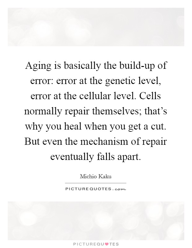 Aging is basically the build-up of error: error at the genetic level, error at the cellular level. Cells normally repair themselves; that's why you heal when you get a cut. But even the mechanism of repair eventually falls apart Picture Quote #1