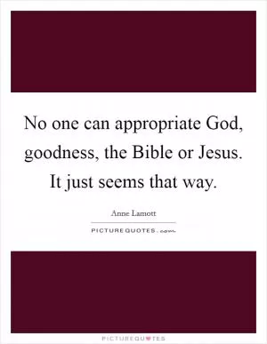 No one can appropriate God, goodness, the Bible or Jesus. It just seems that way Picture Quote #1