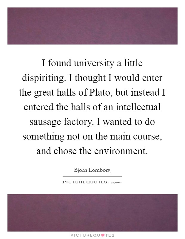 I found university a little dispiriting. I thought I would enter the great halls of Plato, but instead I entered the halls of an intellectual sausage factory. I wanted to do something not on the main course, and chose the environment Picture Quote #1