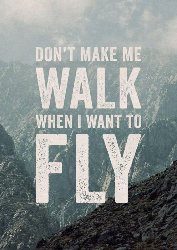 Don't make me walk when I want to fly Picture Quote #2